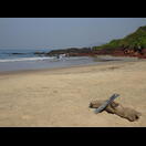 Felsen trennen die einzelnen Buchten